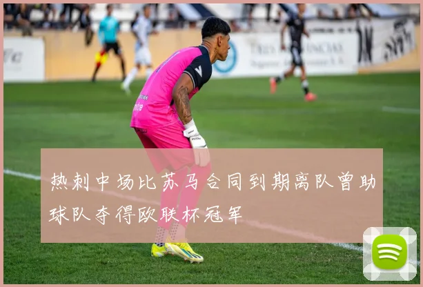 热刺中场比苏马合同到期离队曾助球队夺得欧联杯冠军