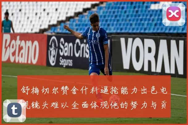 舒梅切尔赞舍什科逼抢能力出色电视镜头难以全面体现他的努力与贡献